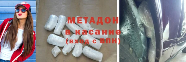 шишки Бикин