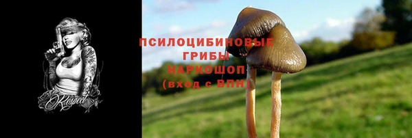 COCAINE Гусиноозёрск