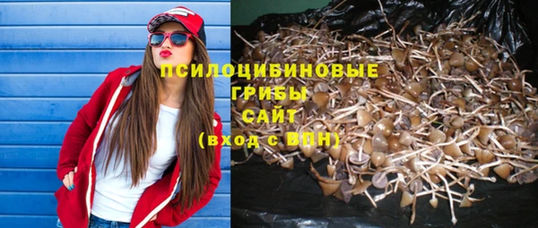 гидропоника Гусев