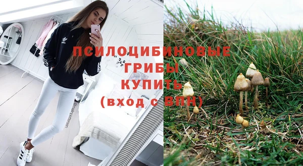 COCAINE Гусиноозёрск