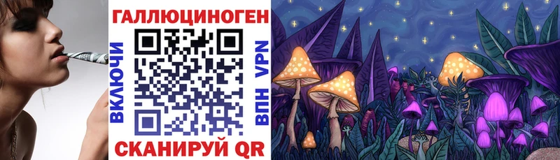 купить закладку  Донецк  Псилоцибиновые грибы Magic Shrooms 